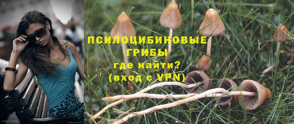 mdpv Беломорск